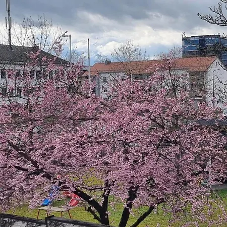 Ferienwohnung Deggendorf