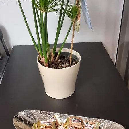 Apartmán Ferienwohnung Deggendorf